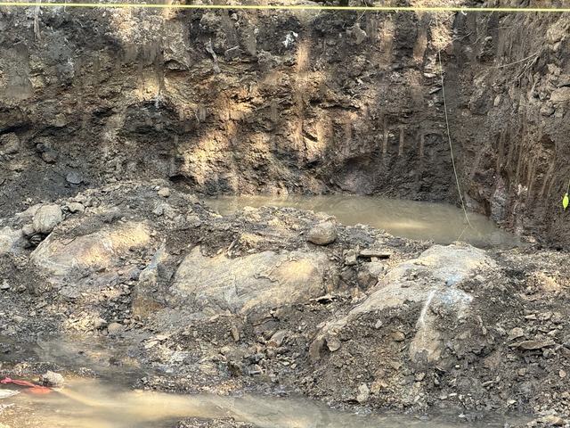 Site photograph, 2025-12-18