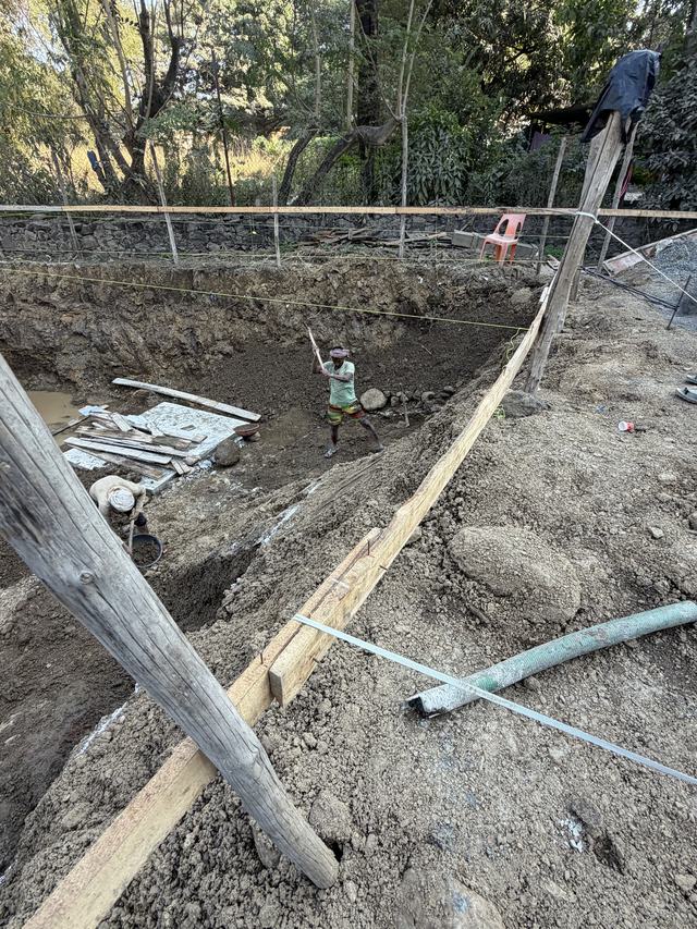 Site photograph, 2025-12-19