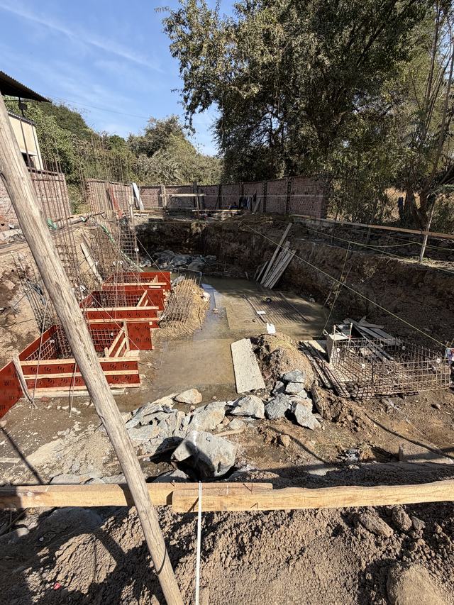 Site photograph, 2025-12-23