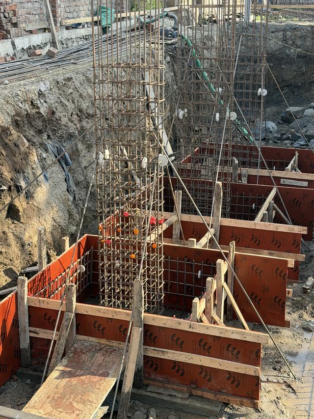 Site photograph, 2025-12-24