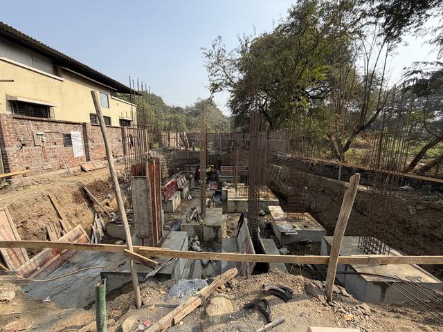 Site photograph, 2026-01-17