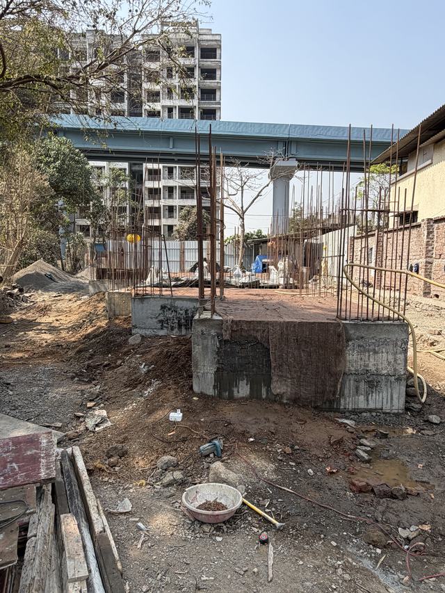 Site photograph, 2026-02-25