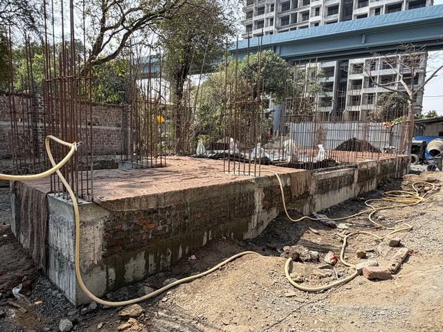 Site photograph, 2026-02-25