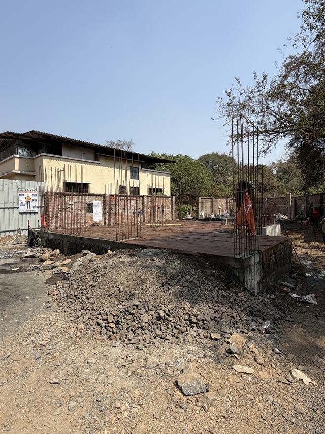 Site photograph, 2026-02-25