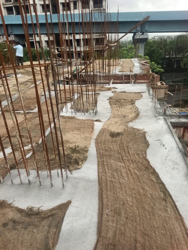 Site photograph, 2026-07-21